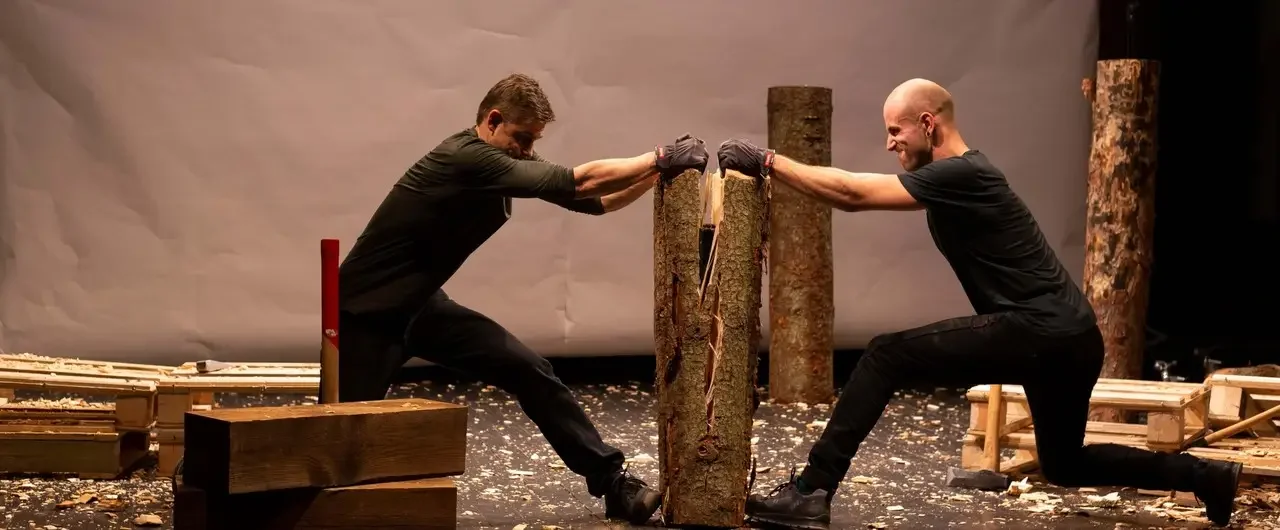 Manipulate Festival The Wood Paths image