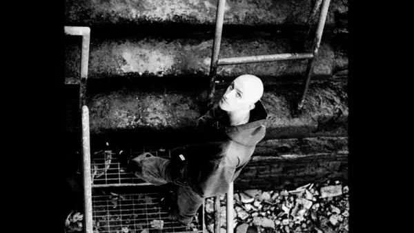 Mark William Lewis image