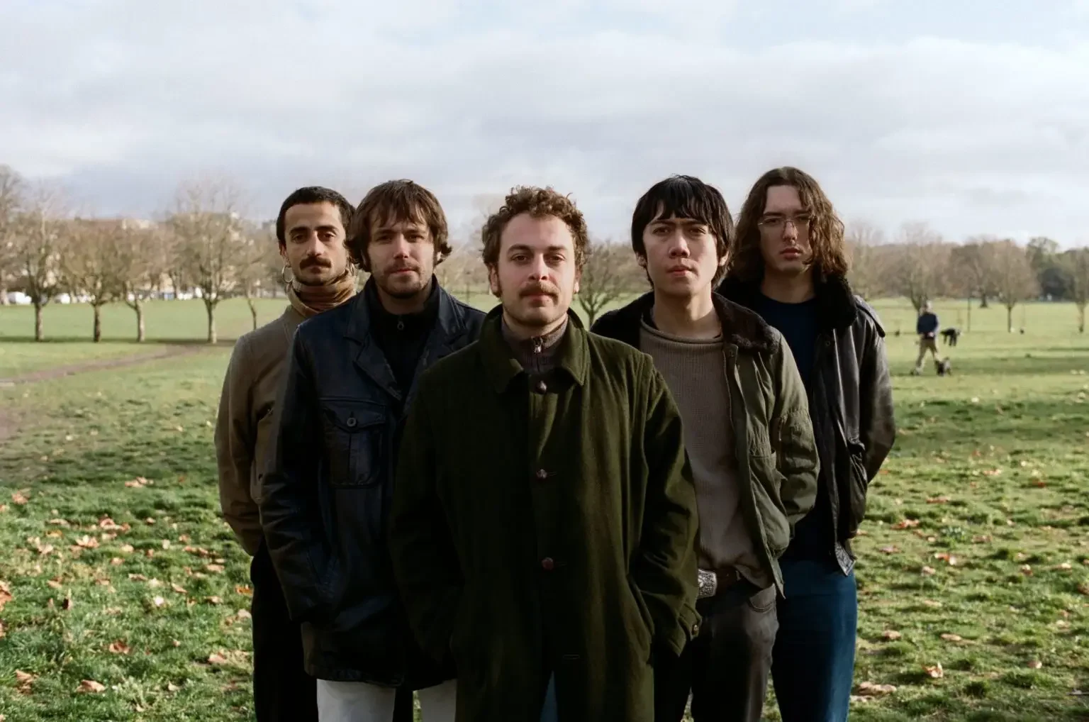 Spanish Horses image