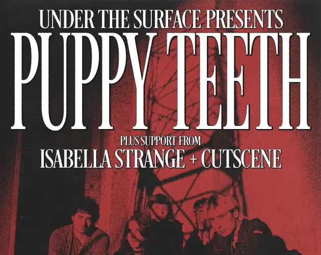 PUPPY tEETh image